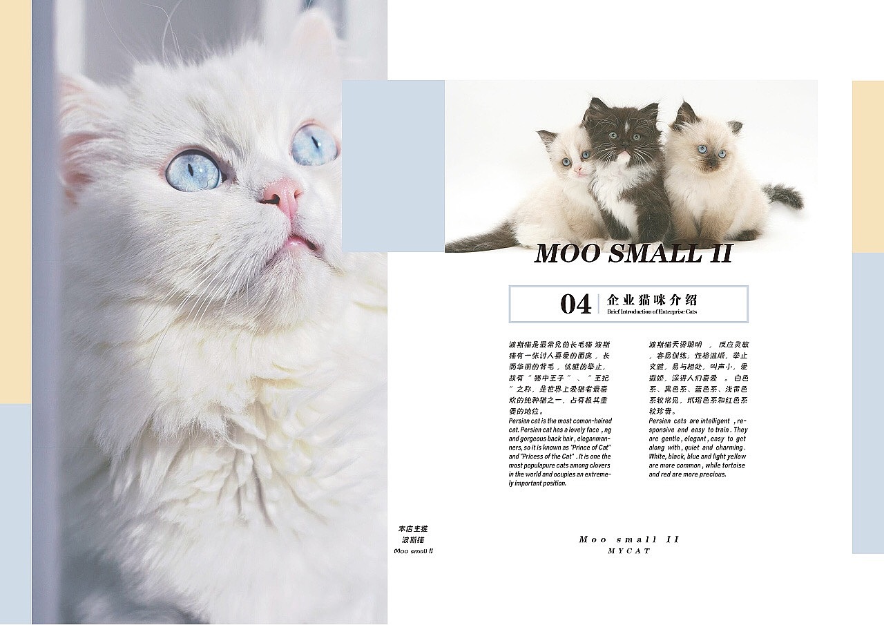 哞小贰宠物猫店