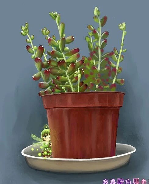 虹之玉（图ZNDkwNDExNjg=） - 创作习作 - 站酷设计师小安默默原创素材 - 站酷ZCOOL