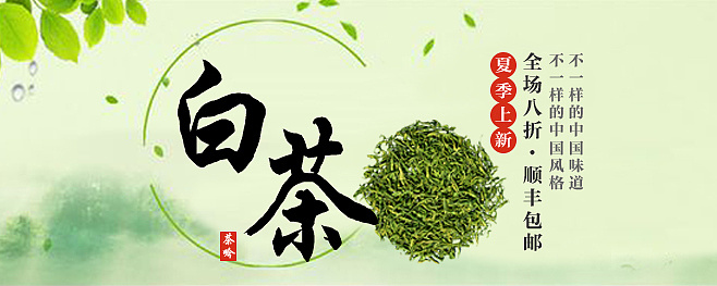 茶叶banner