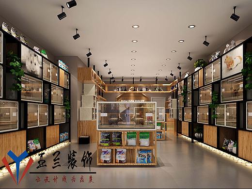 合肥宠物店装修,有你不再孤单