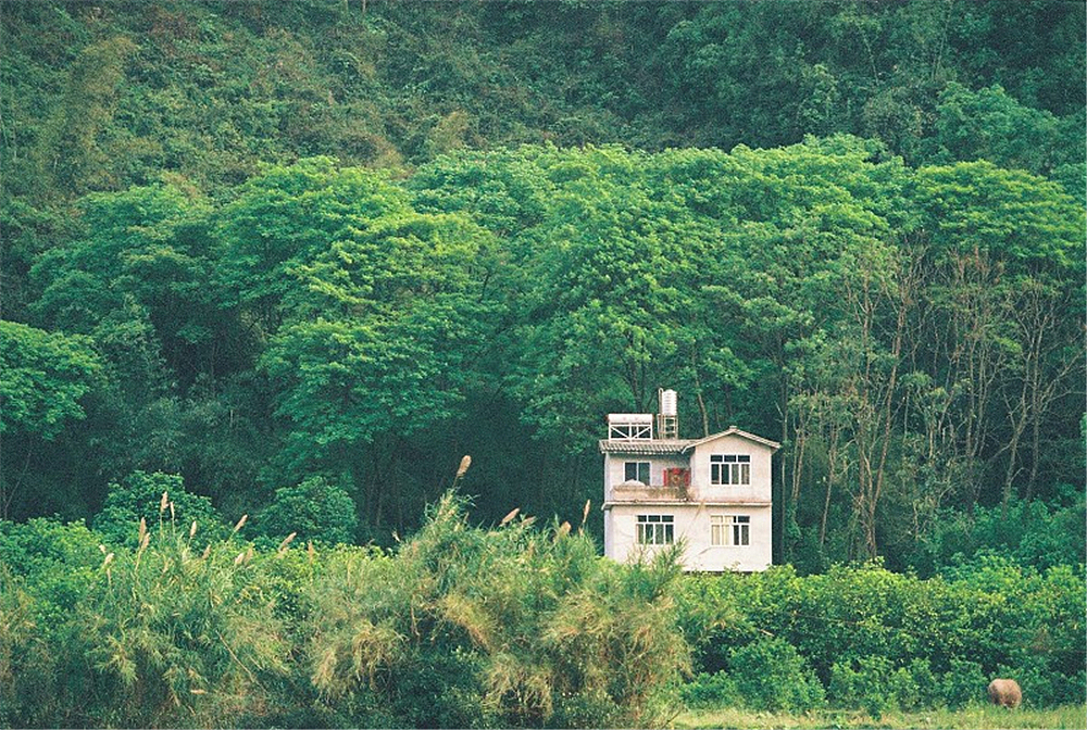 那些旧胶片的味道（图ZNTM4MDExODA=） - 人像摄影 - 站酷设计师MrLOok原创素材 - 站酷ZCOOL