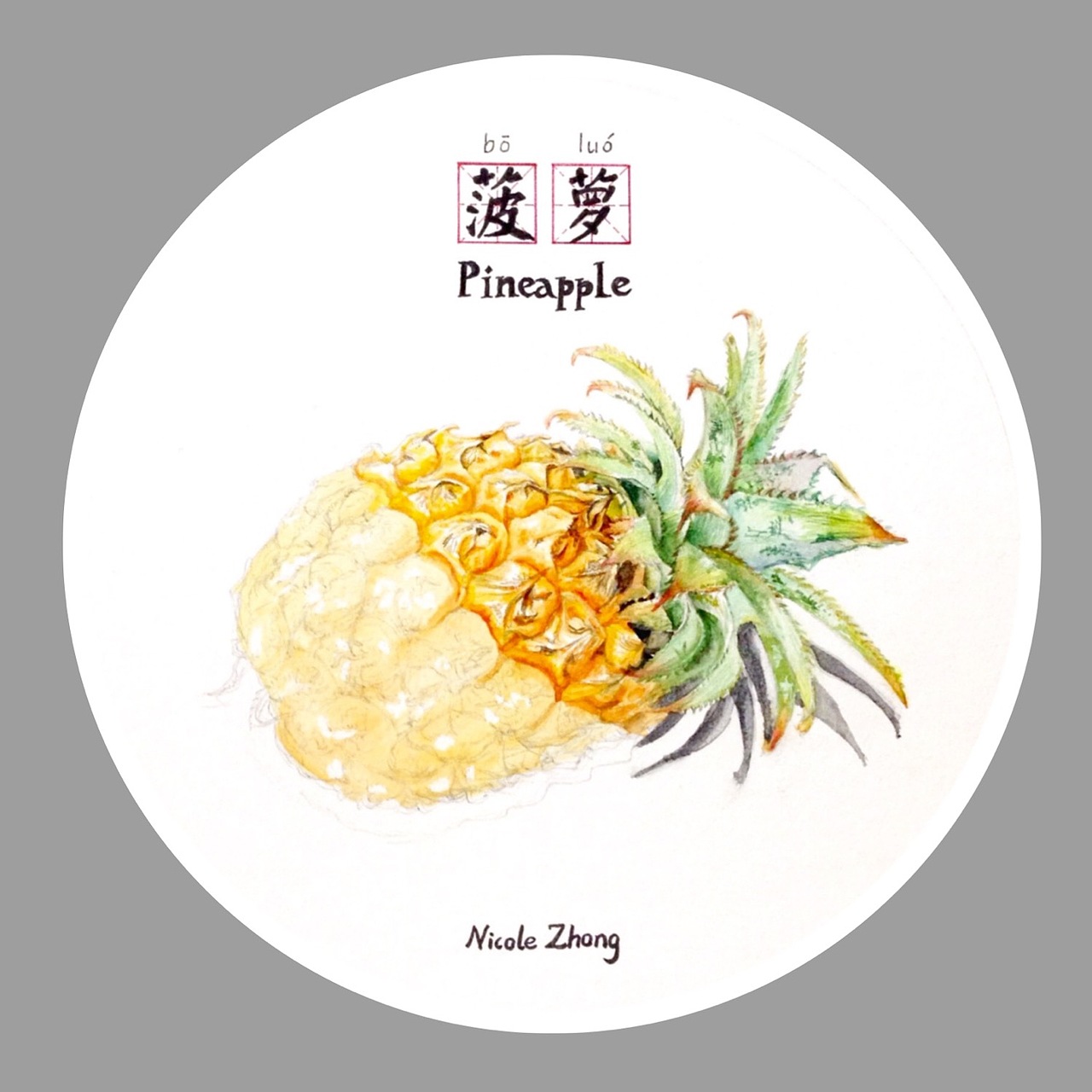 水果系列NO.5-菠萝（图ZNjM0NTc5Njg=） - 绘画 - 站酷设计师Nicolezhong原创素材 - 站酷ZCOOL