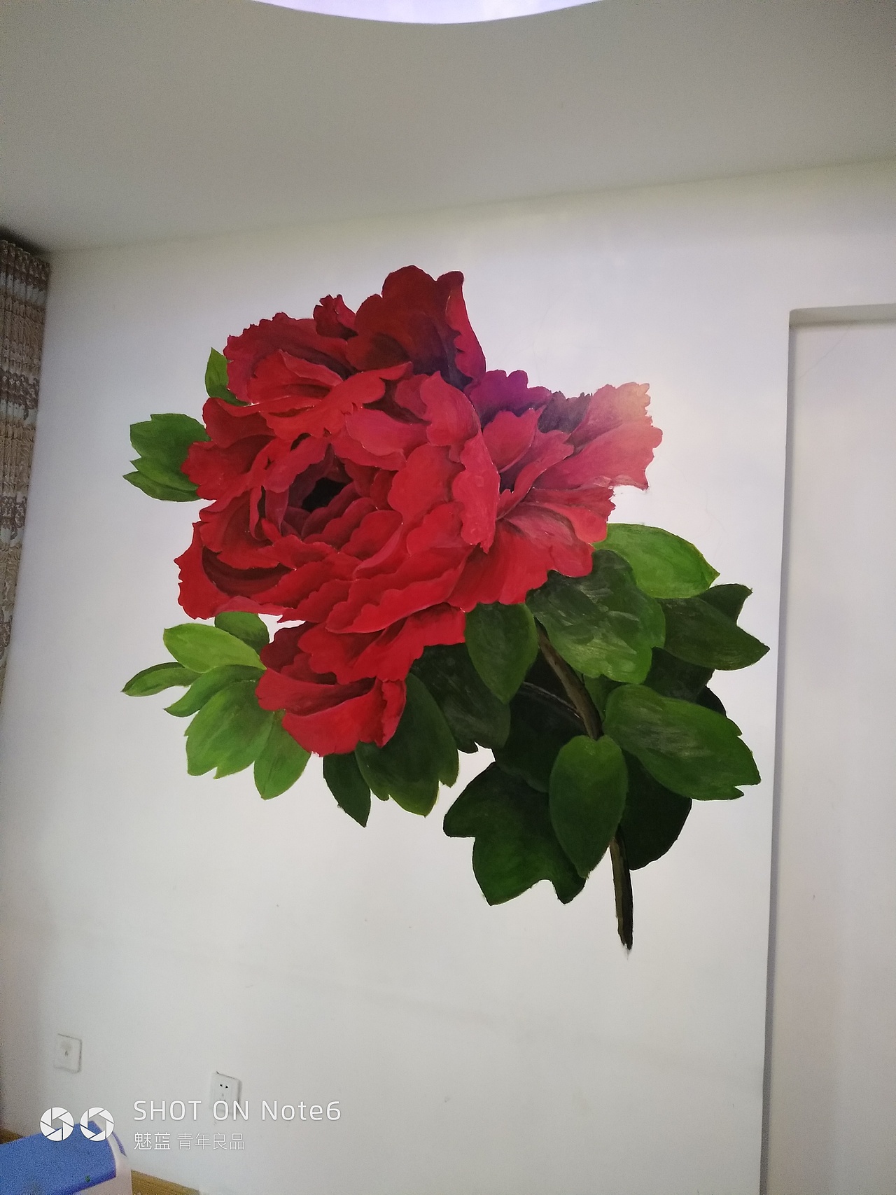 墙绘-牡丹