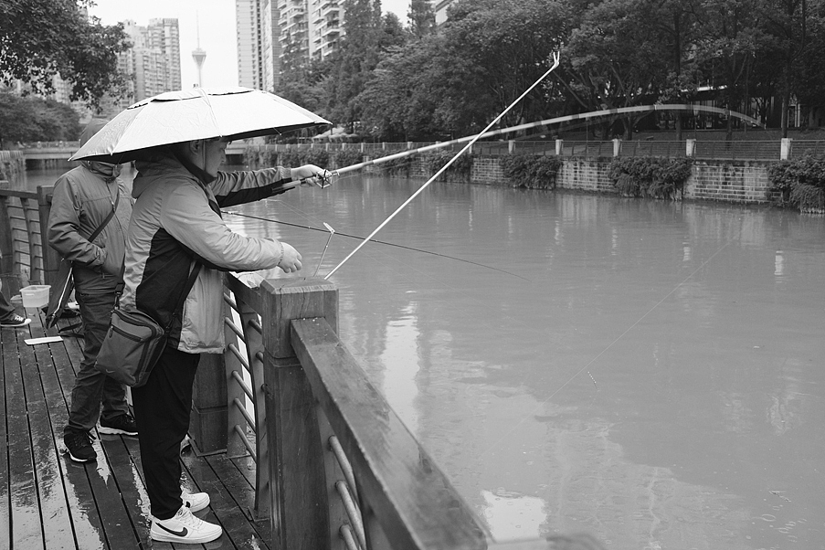 漫步成都系列-02