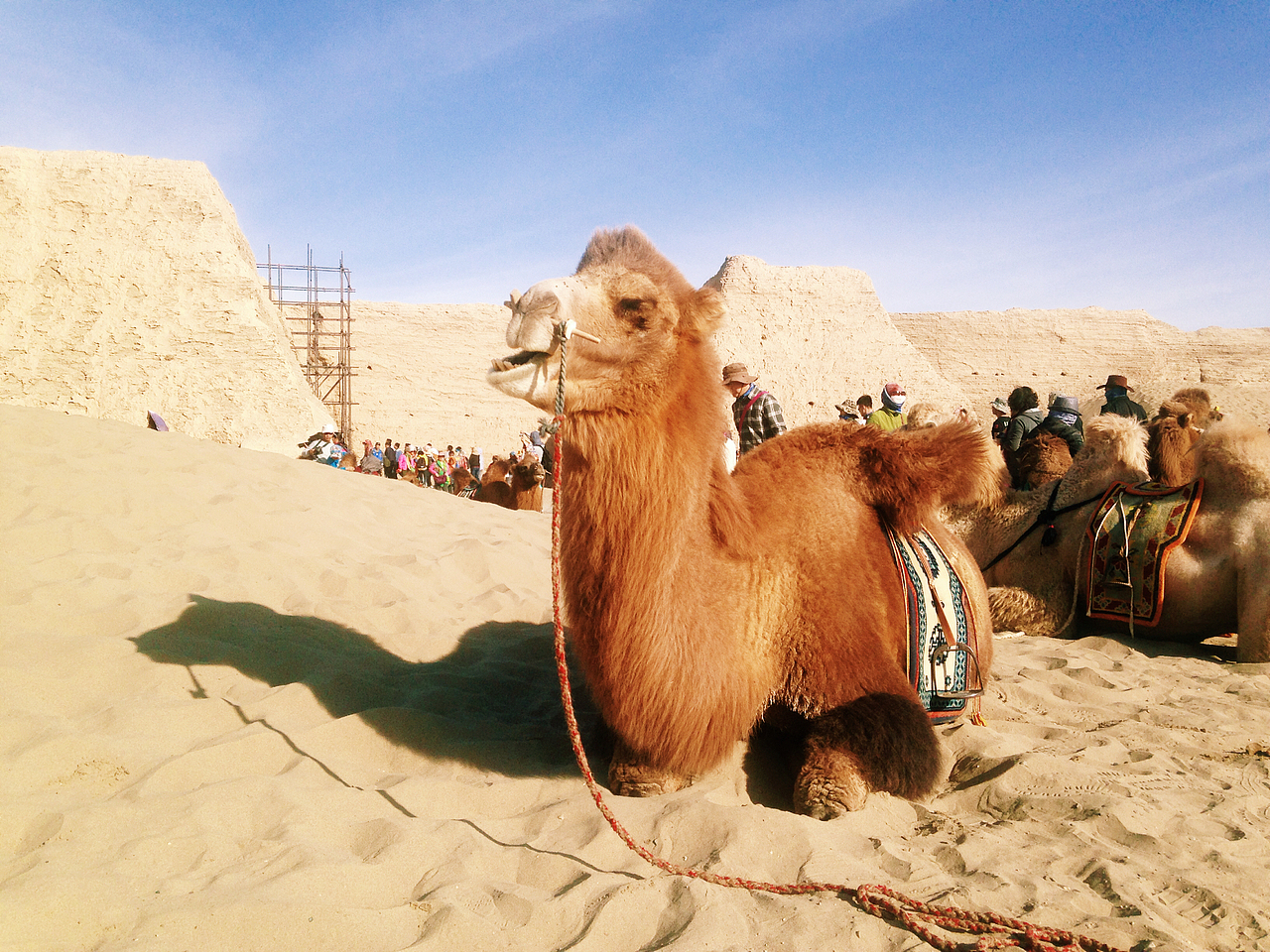 西北游~#出发的勇气2014#