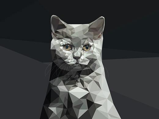 插画小猫三角元素灰色系