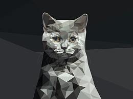 插画小猫三角元素灰色系