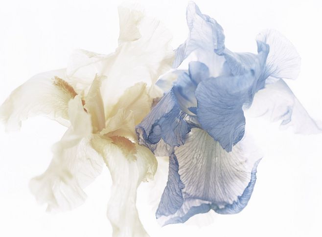 ACG莎的个人主页（背景预览） - 主页背景设置 - 站酷设计师ACG莎原创素材 - 站酷ZCOOL