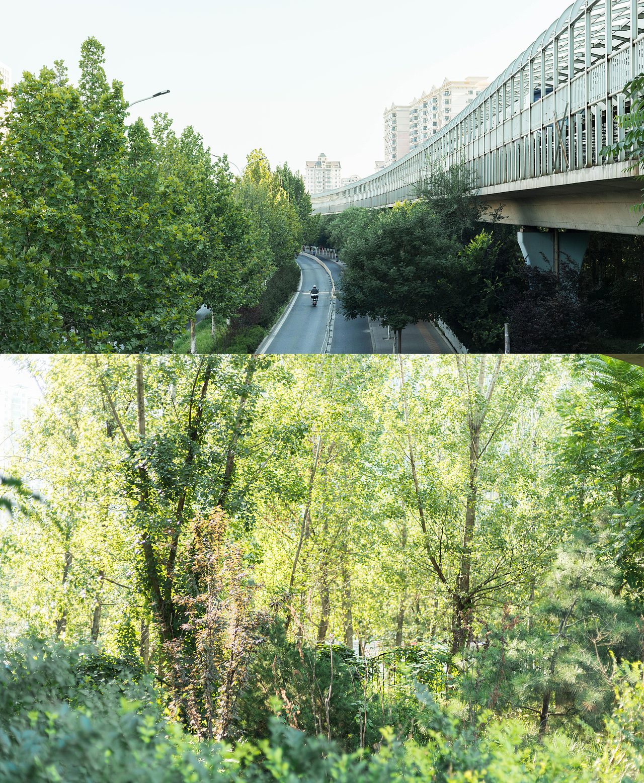 关于北京的夏天（图ZMjIwNDA5Mjc2） - 风光摄影 - 站酷设计师二夭八原创素材 - 站酷ZCOOL