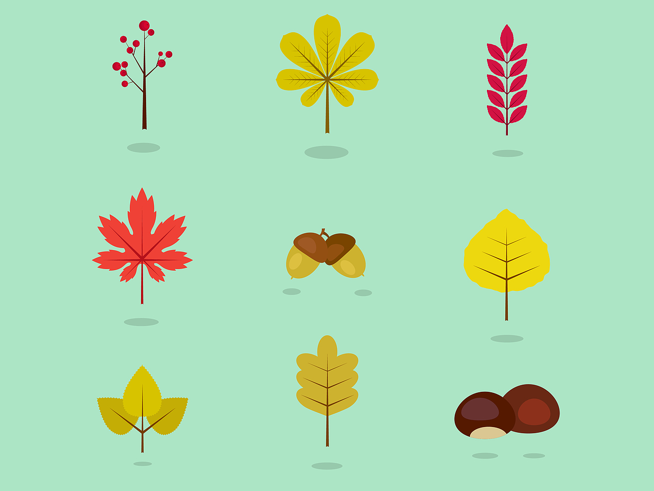 春夏秋冬又一春。