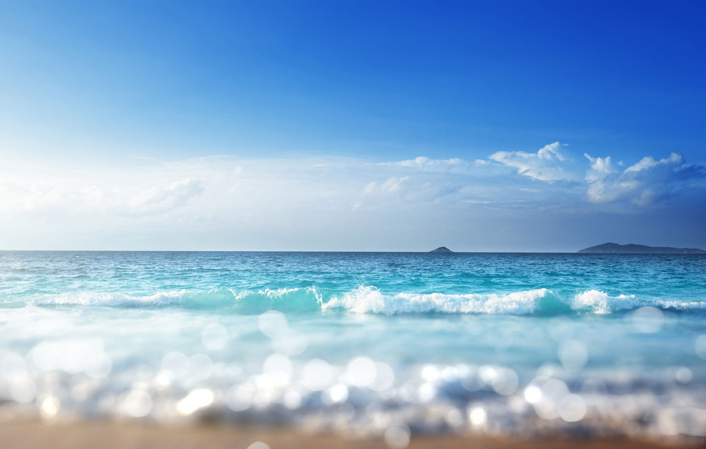 花花世界1986的个人主页（背景预览） - 主页背景设置 - 站酷设计师花花世界1986原创素材 - 站酷ZCOOL