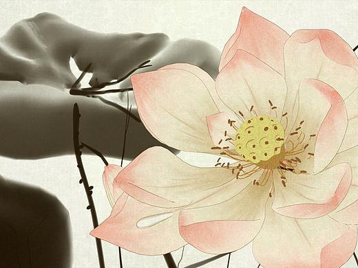 山水之间，为富阳电视台打造的栏目动画片头