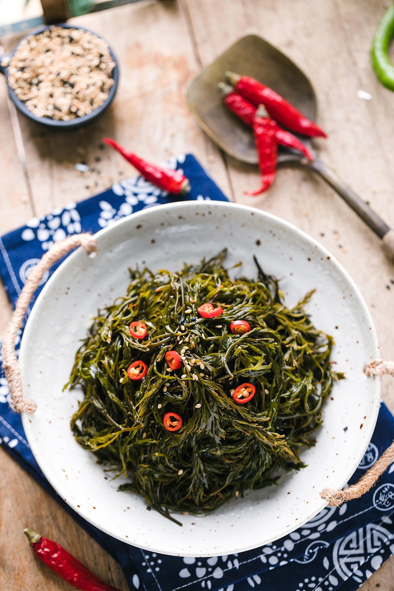 海带系列烟台/摄影师/5年前/1808浏览大樹