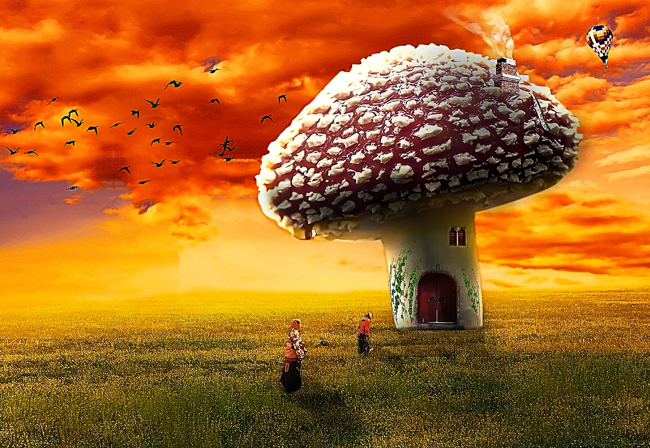 夕阳蘑菇房子合成