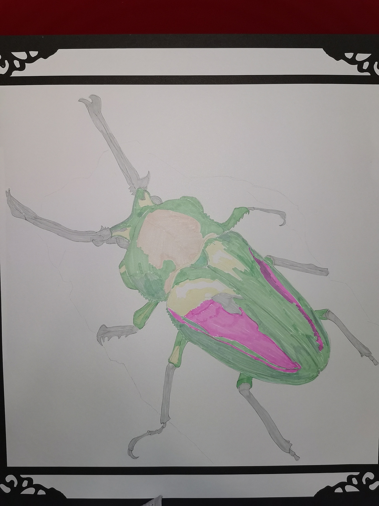 彩铅习作 彩虹锹甲