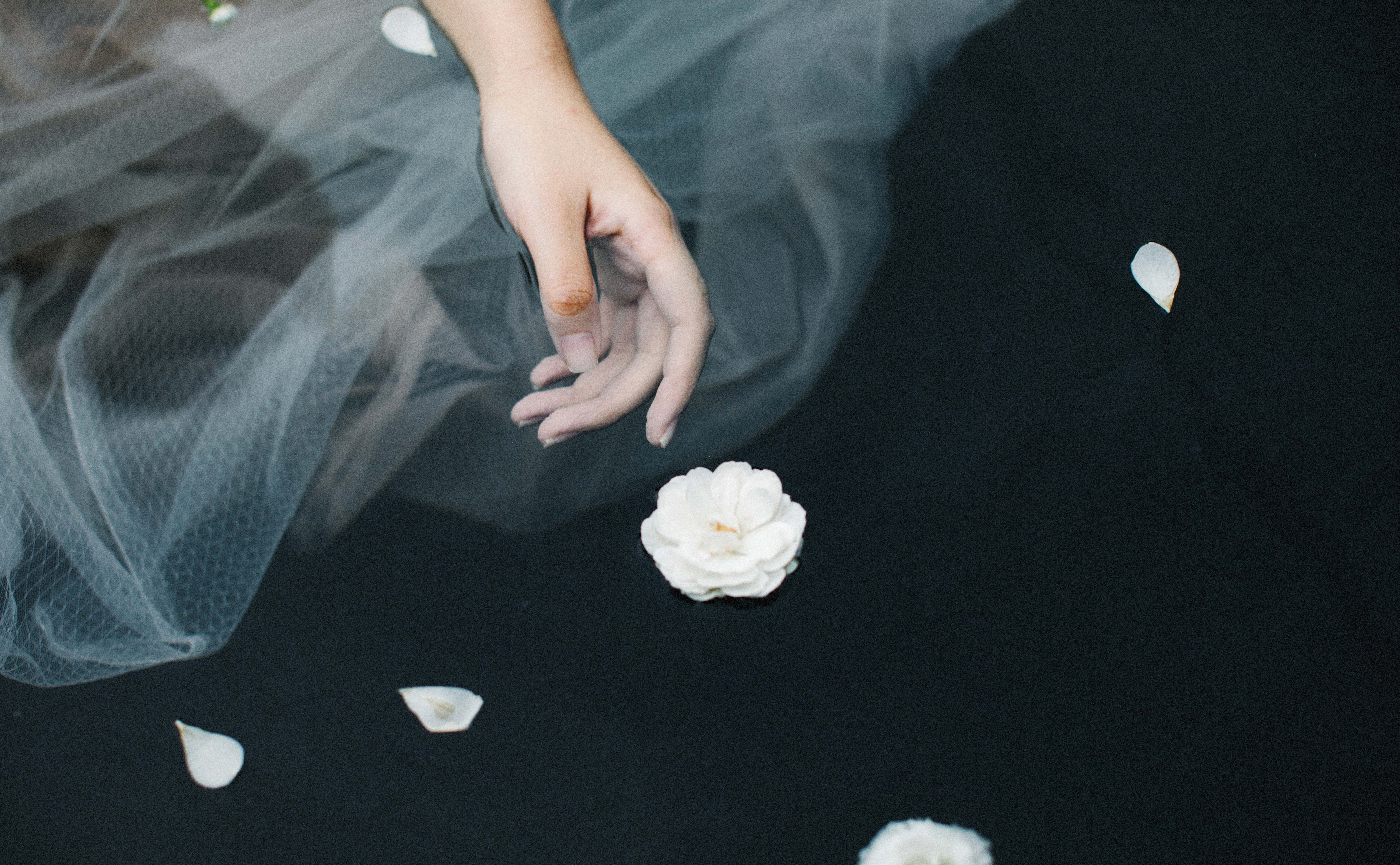 文小雨_Elaine的个人主页（封面预览） - 主页封面设置 - 站酷设计师文小雨_Elaine原创素材 - 站酷ZCOOL