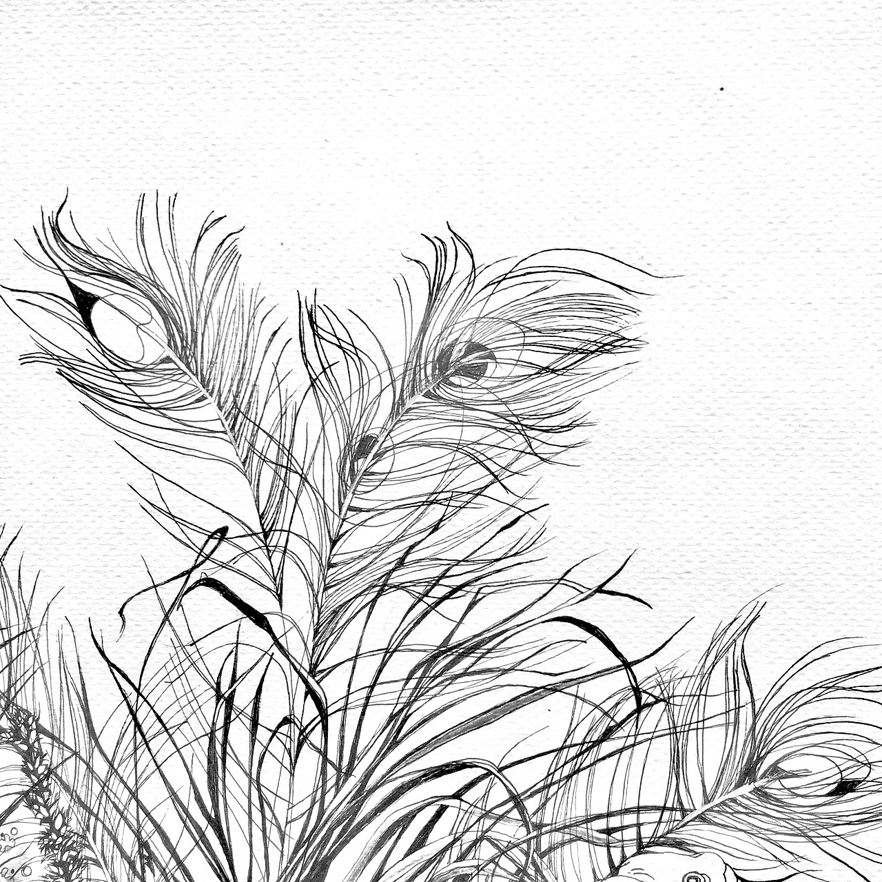 一岁一枯荣（图ZNzUyNDQzMDA=） - 商业插画 - 站酷设计师chang晶原创素材 - 站酷ZCOOL