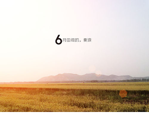 6月田间的麦浪（图ZMzE4MzA0OA==） - 风光摄影 - 站酷设计师廿八亩田原创素材 - 站酷ZCOOL