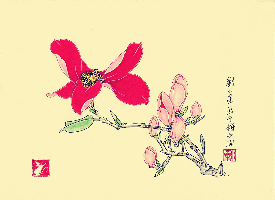 六，木棉写生图