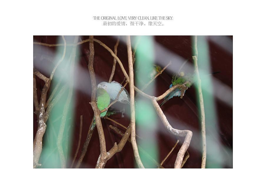 摄影-（图ZMjU0MDcyNjg=） - 风光摄影 - 站酷设计师千亿视觉传达原创素材 - 站酷ZCOOL