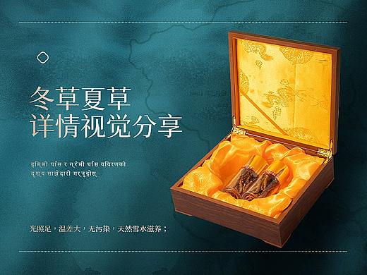 冬虫夏草详情