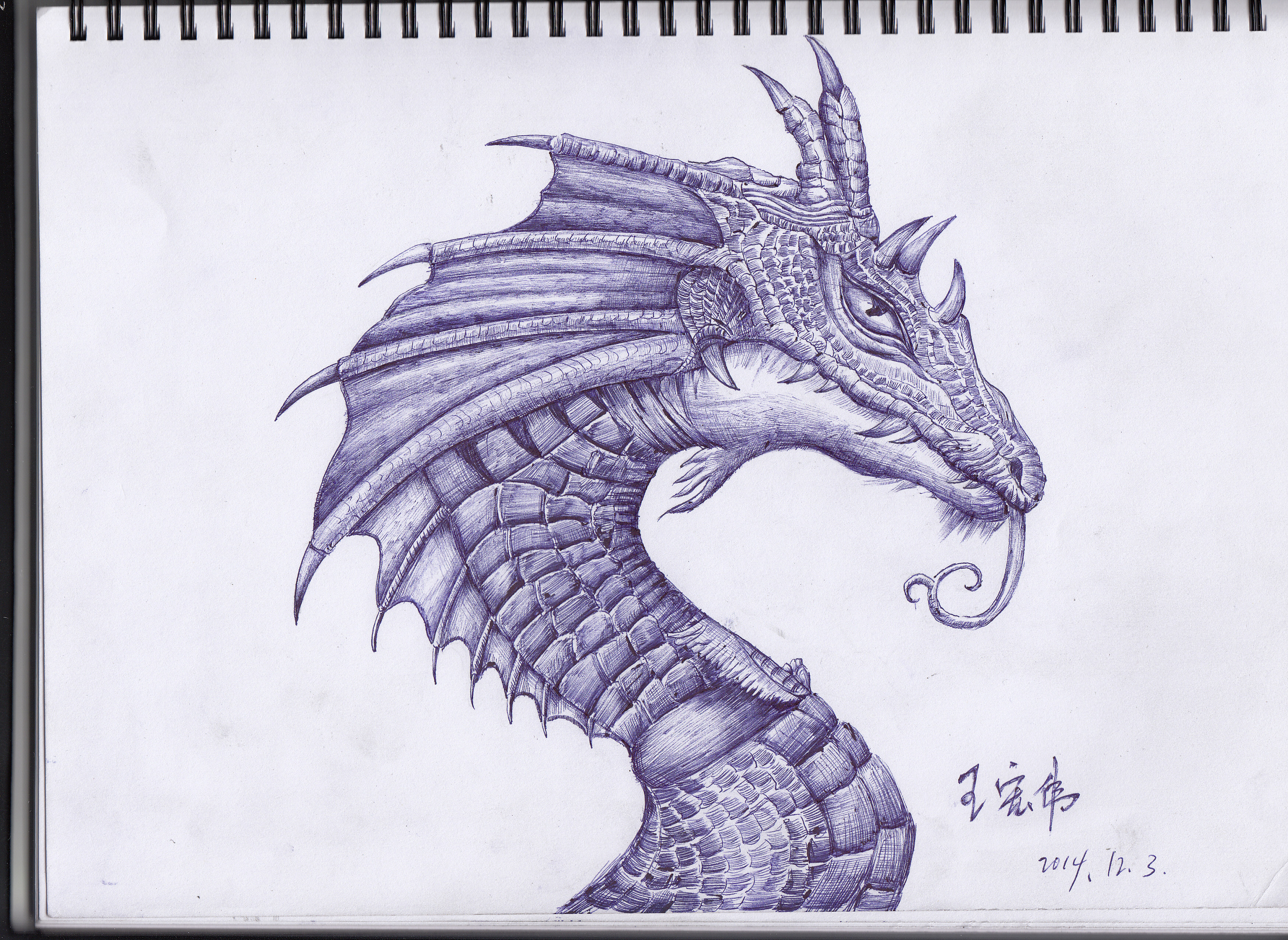 圆珠笔手绘|纯艺术|素描|远方信仰 - 原创作品 - 站酷 (zcool)