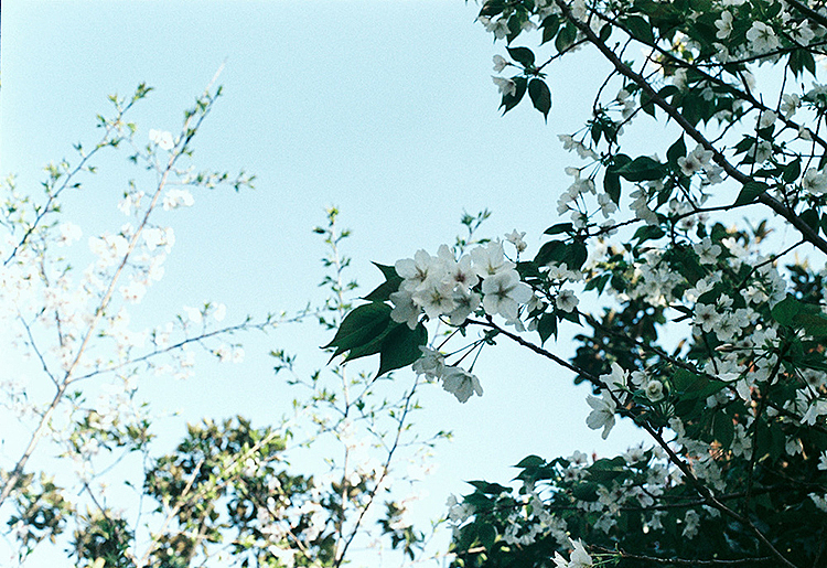 记两次去年初的外出游玩