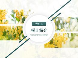 駐馬店紅石崖品牌形象設(shè)計