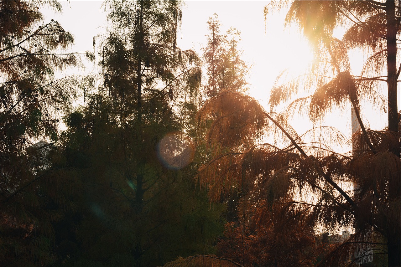 你好，陌生人（图ZOTk1Mjk0ODA=） - 人文/纪实摄影 - 站酷设计师465739788原创素材 - 站酷ZCOOL