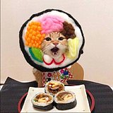 Lee_Xrr的头像