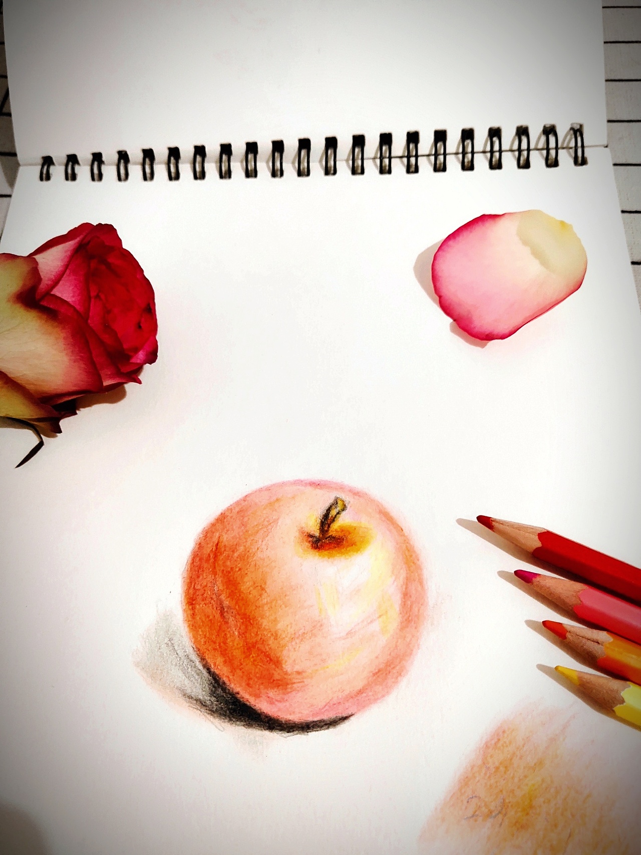 没吃到🍎，画一个安慰自己☺☺（图ZMTM5NzMwOTQw） - 艺术插画 - 站酷设计师a是卷卷啊原创素材 - 站酷ZCOOL
