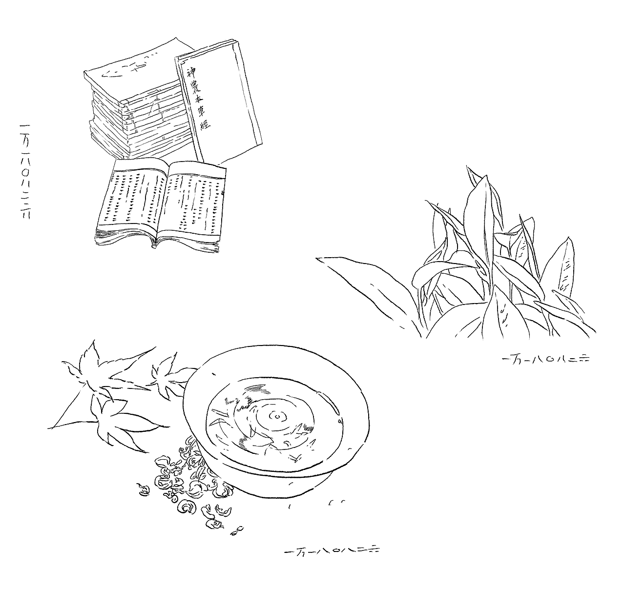 神农（图ZMjM1NDY3Njgw） - 书籍/画册 - 站酷设计师Ivan一萬原创素材 - 站酷ZCOOL