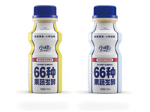 小乳酸果蔬发酵