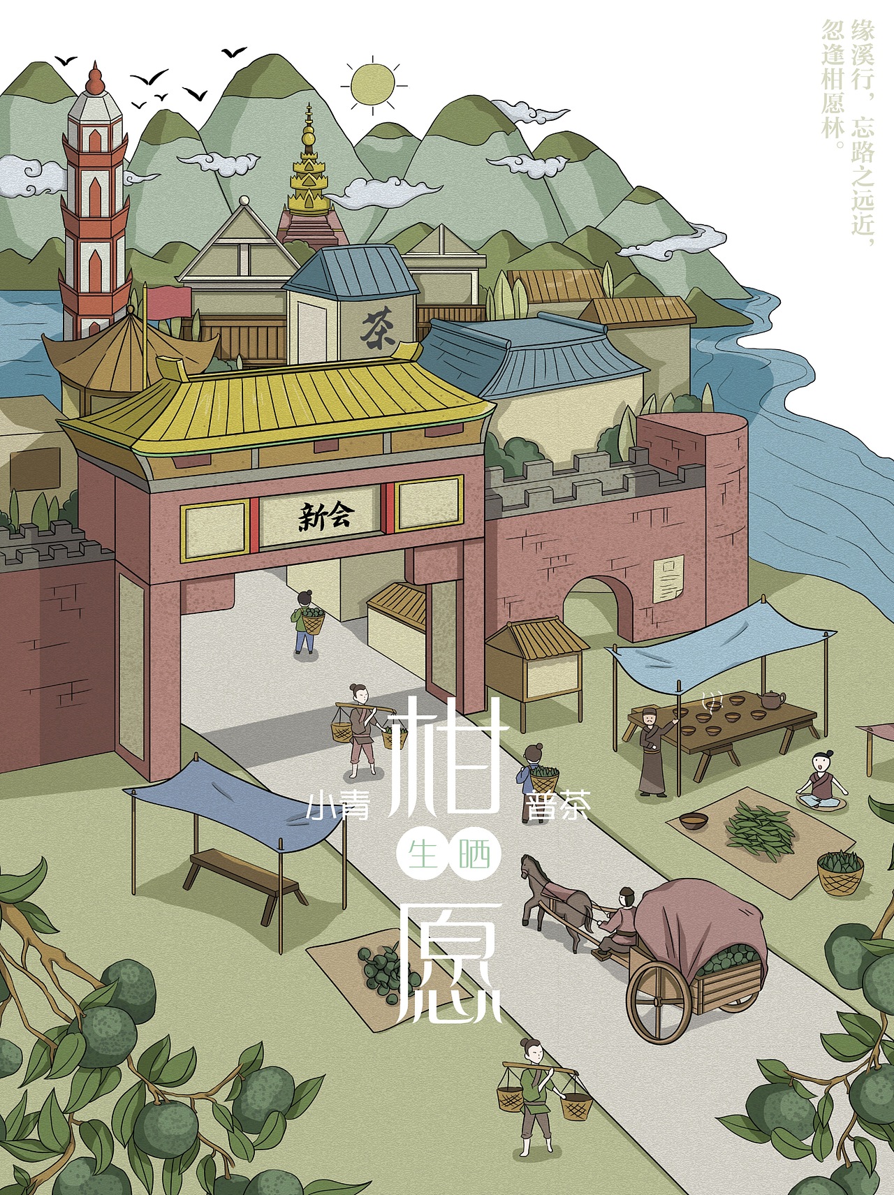 小青柑普茶插画/包装设计——心柑情愿