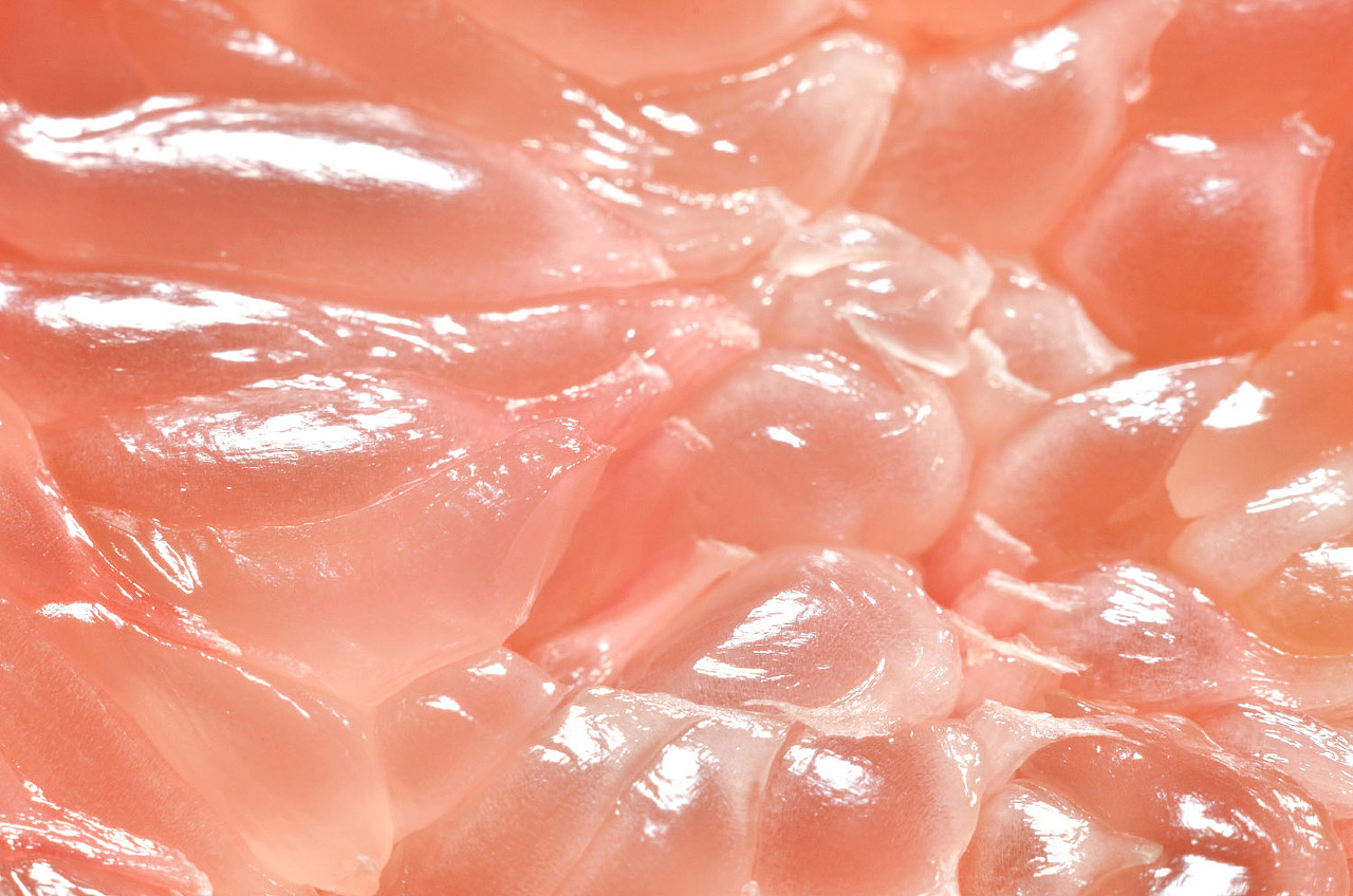 你知道这是什么吗？