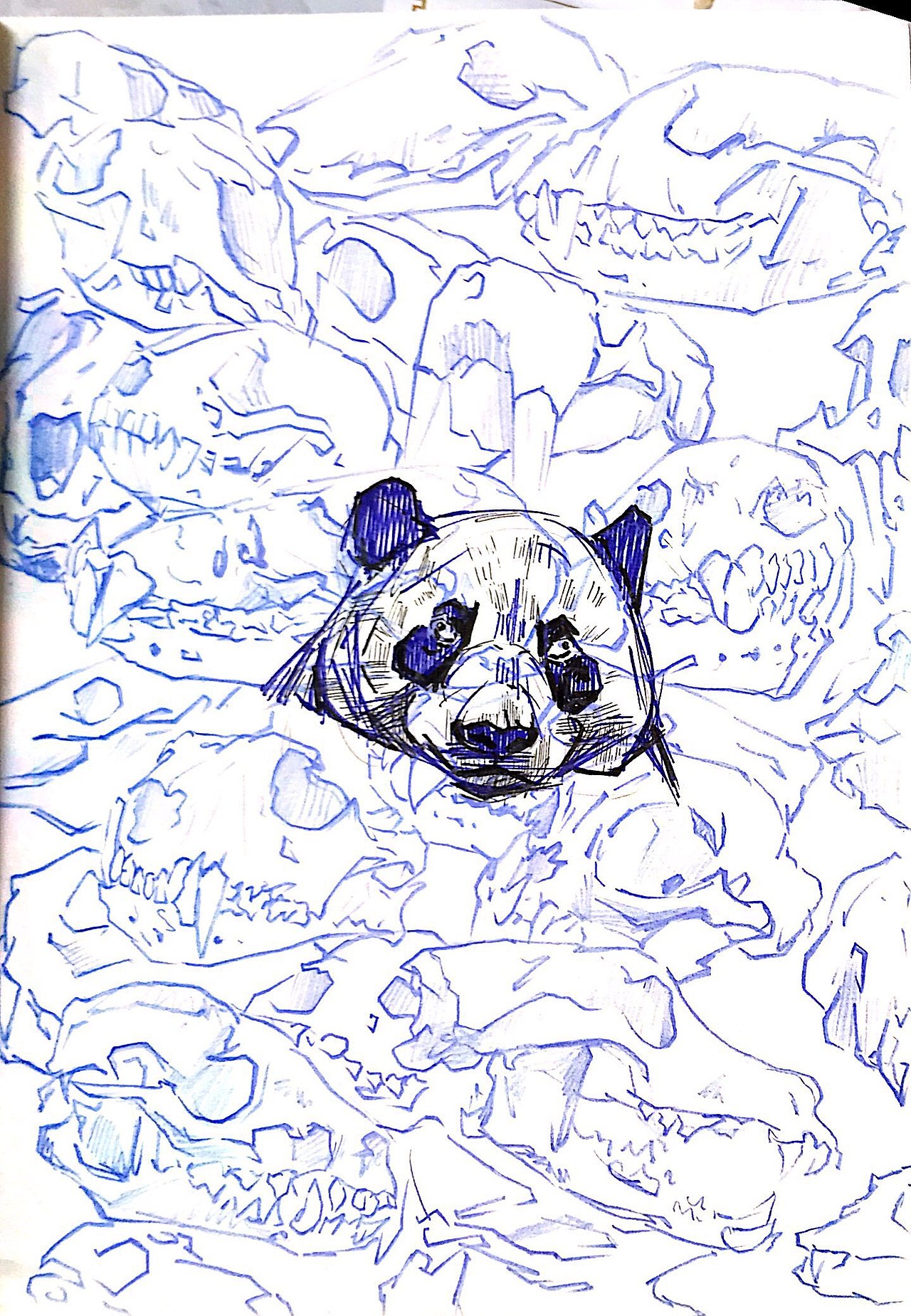 秦岭🏔️⛰️四宝（图ZMTMzODEyODk2） - 创作习作 - 站酷设计师矩句具剧原创素材 - 站酷ZCOOL