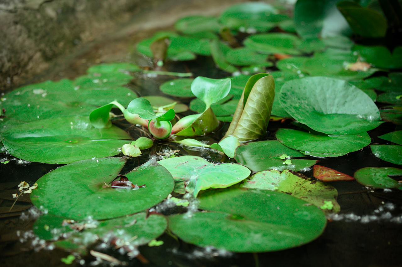 芦山彩虹谷学院(一)