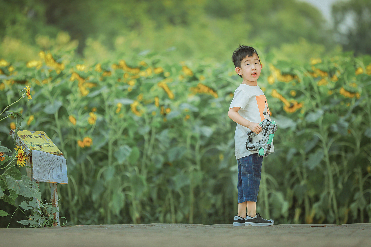 小希学长拍娃记 | 葵园童趣