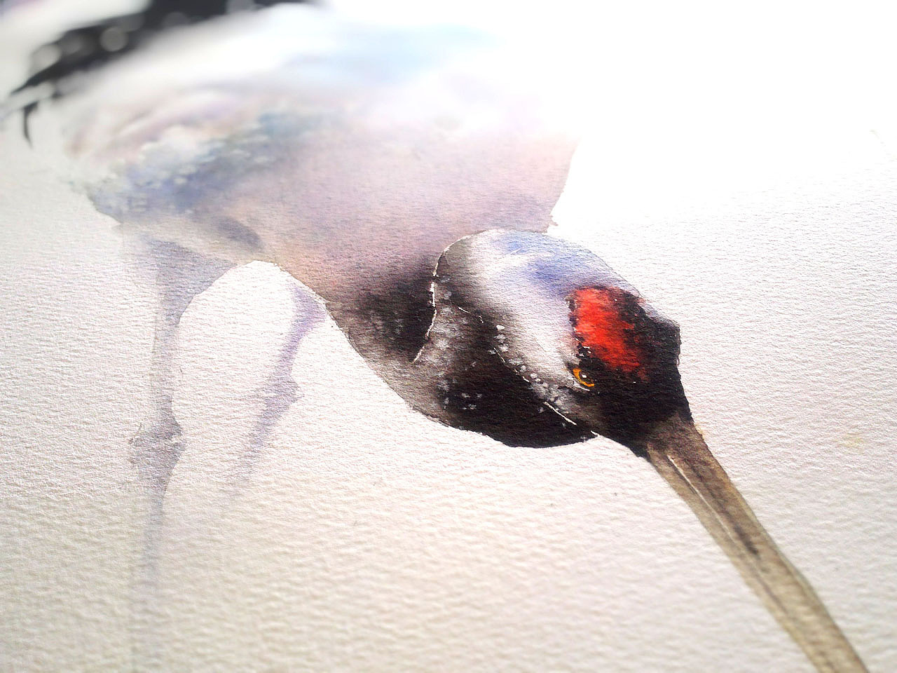 【一行写意水彩画】黑颈鹤——云在青天水在瓶（图ZMTQ1ODk2MjM2） - 绘画 - 站酷设计师一行EXE原创素材 - 站酷ZCOOL