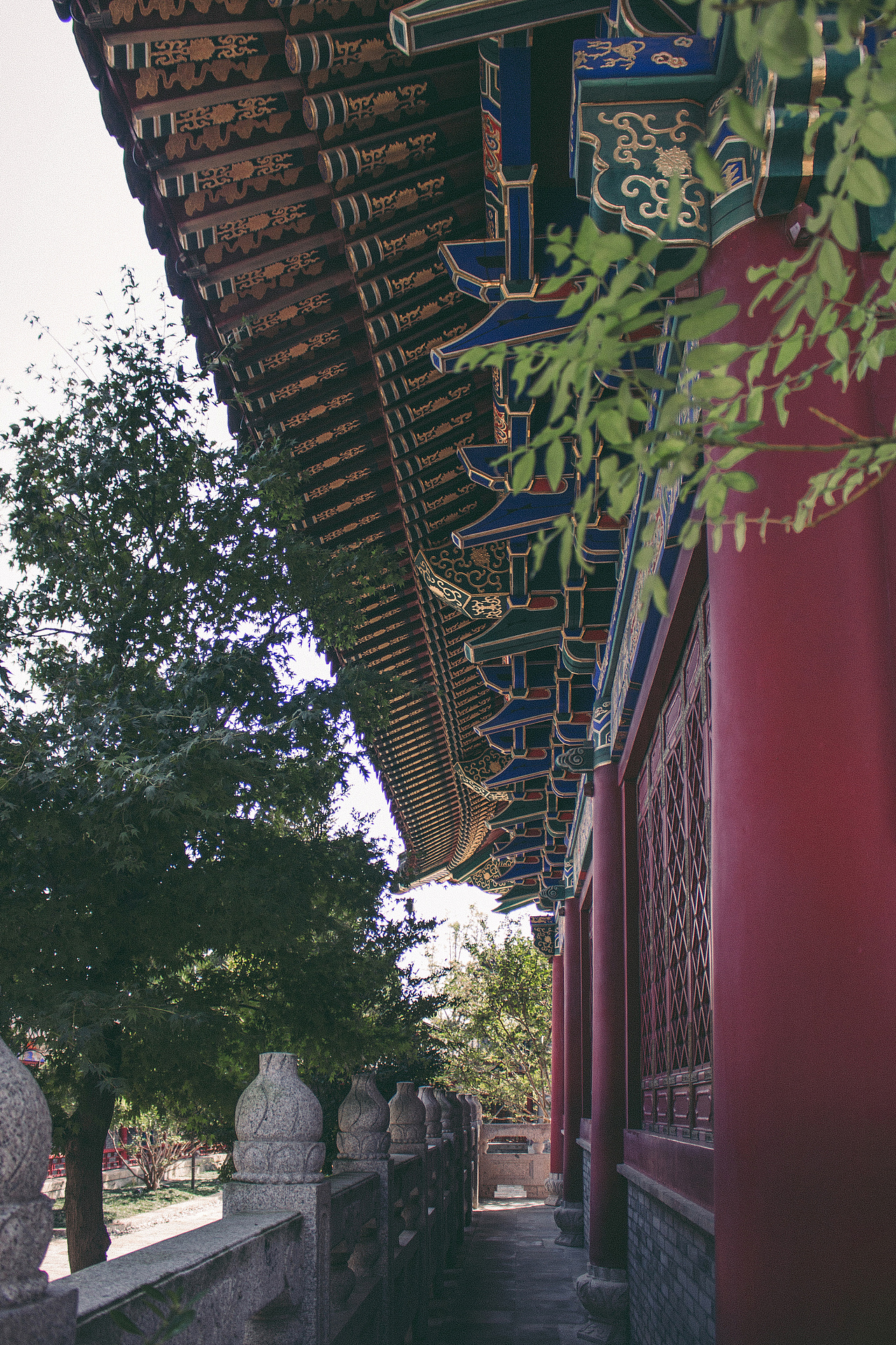 广富林古文化遗址