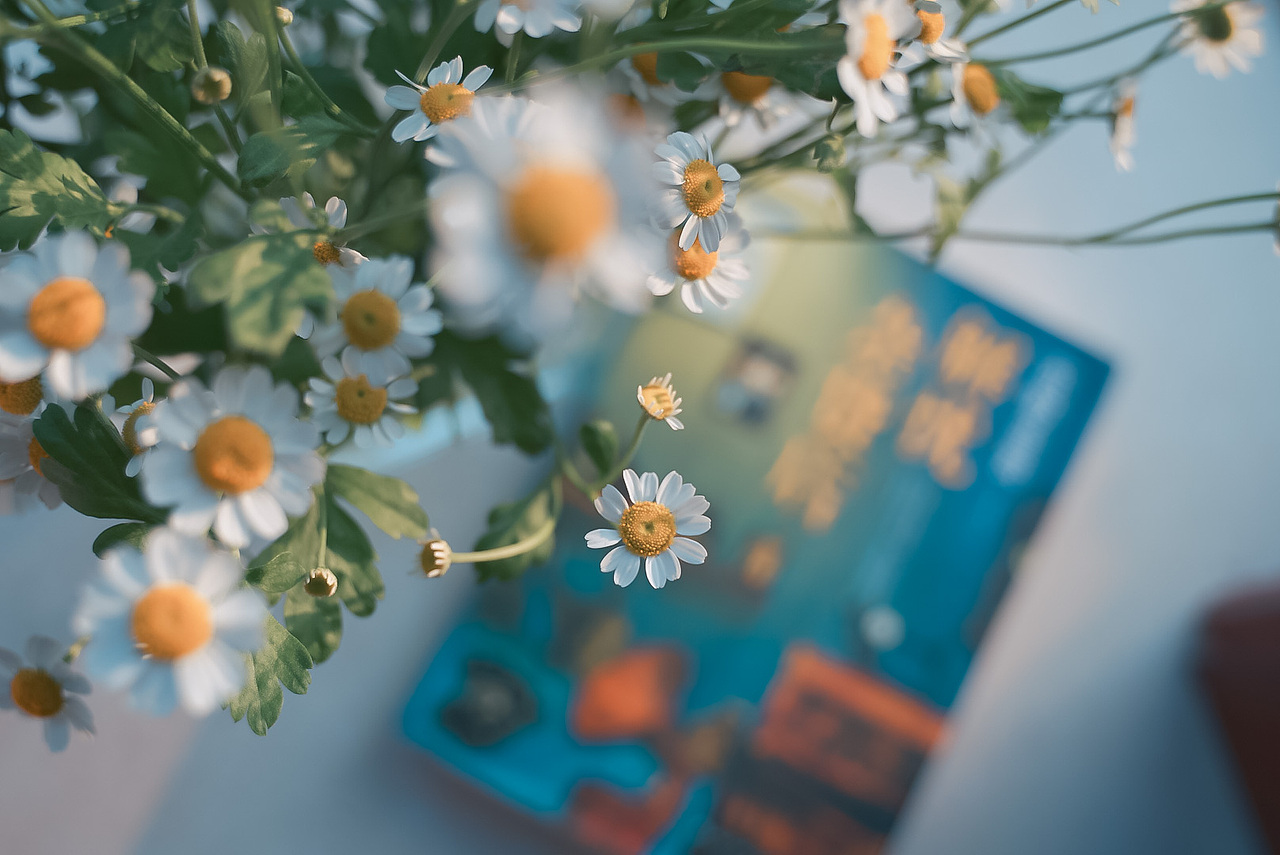 春天（图ZMjAwOTkyMDMy） - 风光摄影 - 站酷设计师丶荧光乌贼原创素材 - 站酷ZCOOL