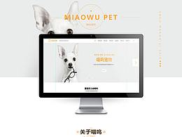 寵物網(wǎng)站展示/網(wǎng)頁效果圖