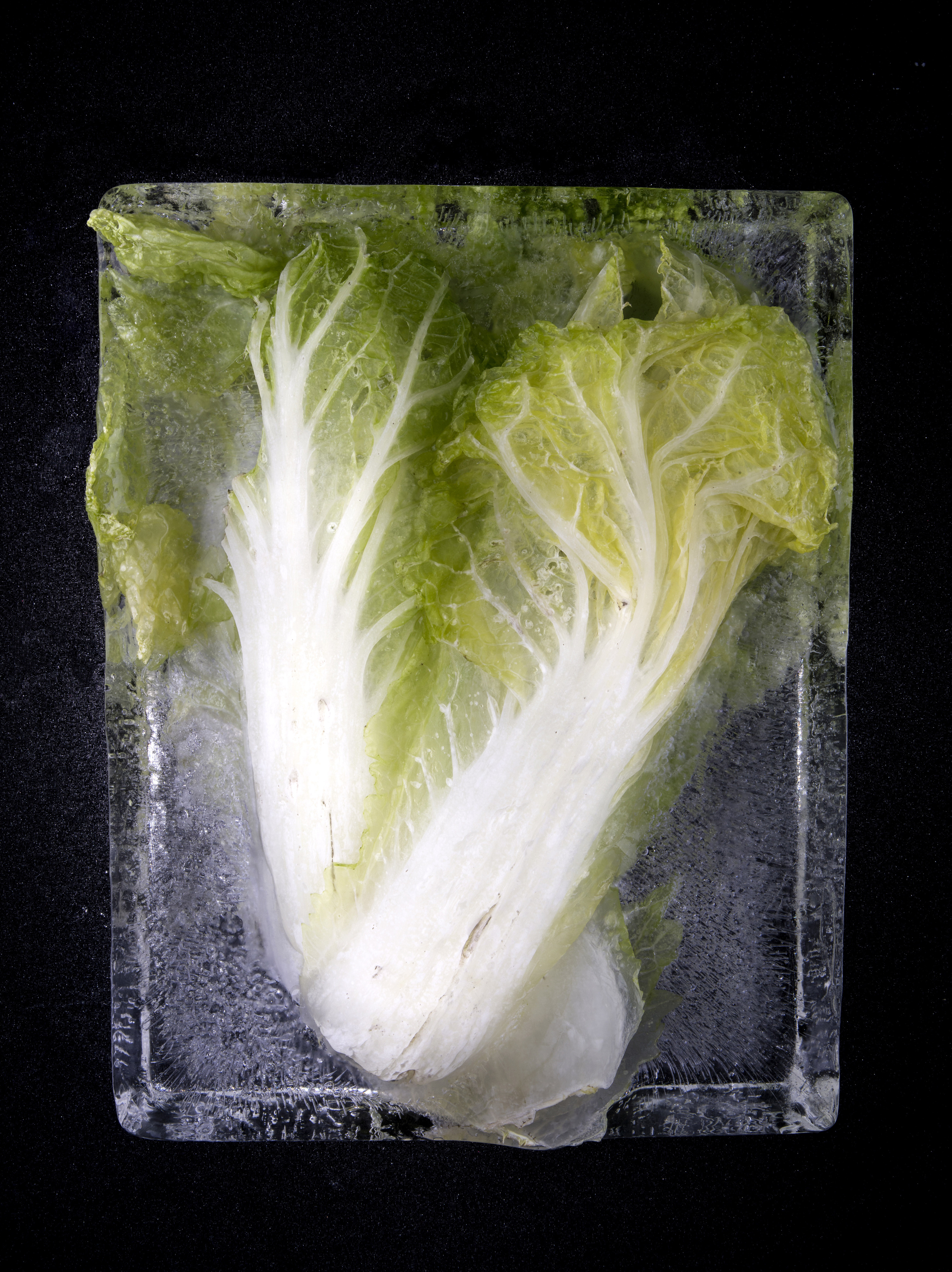 《有朝一日》观念摄影作品