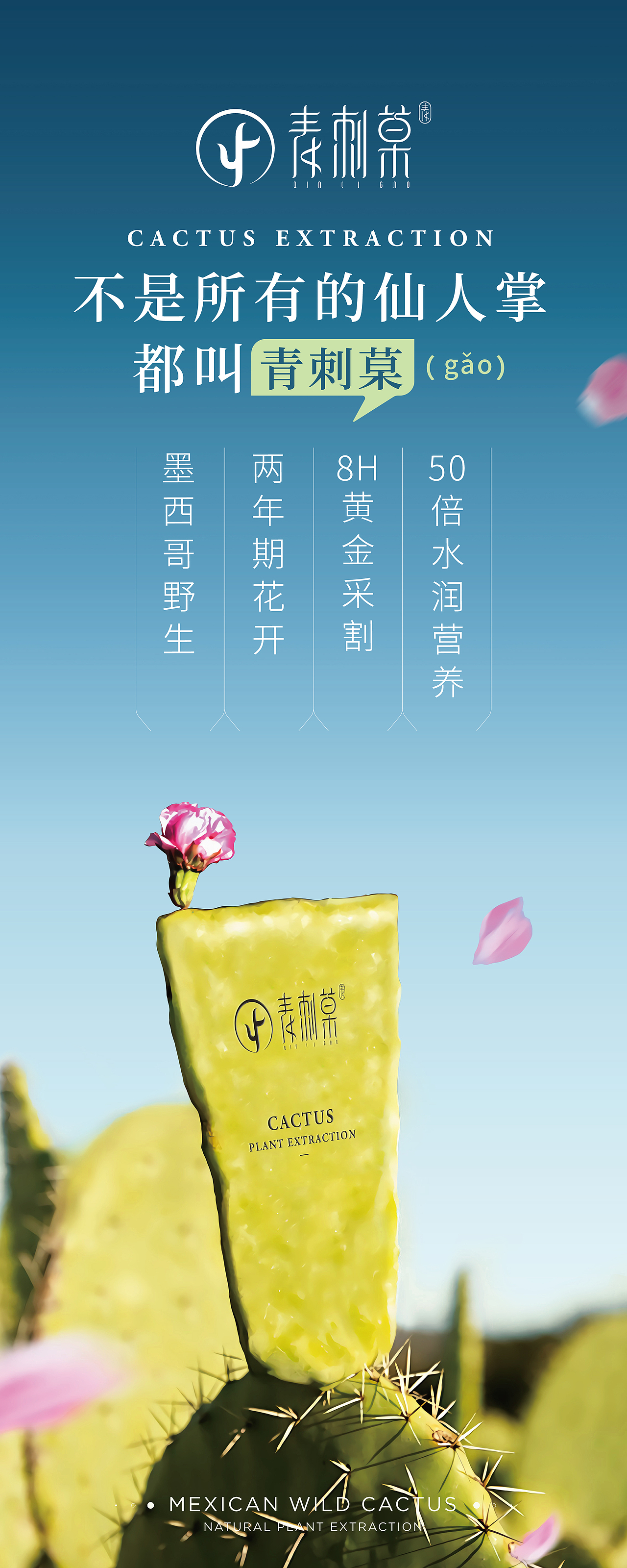 青刺菒化妆品 全案设计（图ZMTY2ODExMTMy） - Logo - 站酷设计师Paddy设计原创素材 - 站酷ZCOOL