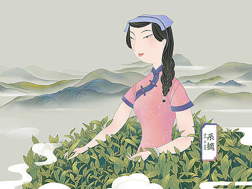 采茶插画