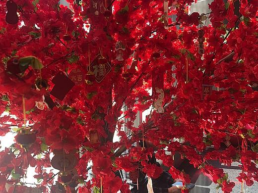 我们都是好孩子