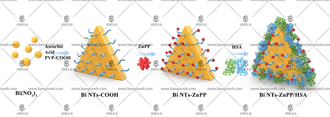 论文配图杂志封面设计科研绘图医学插画三维动画综述图