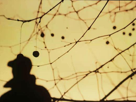 《汤辉的故事》