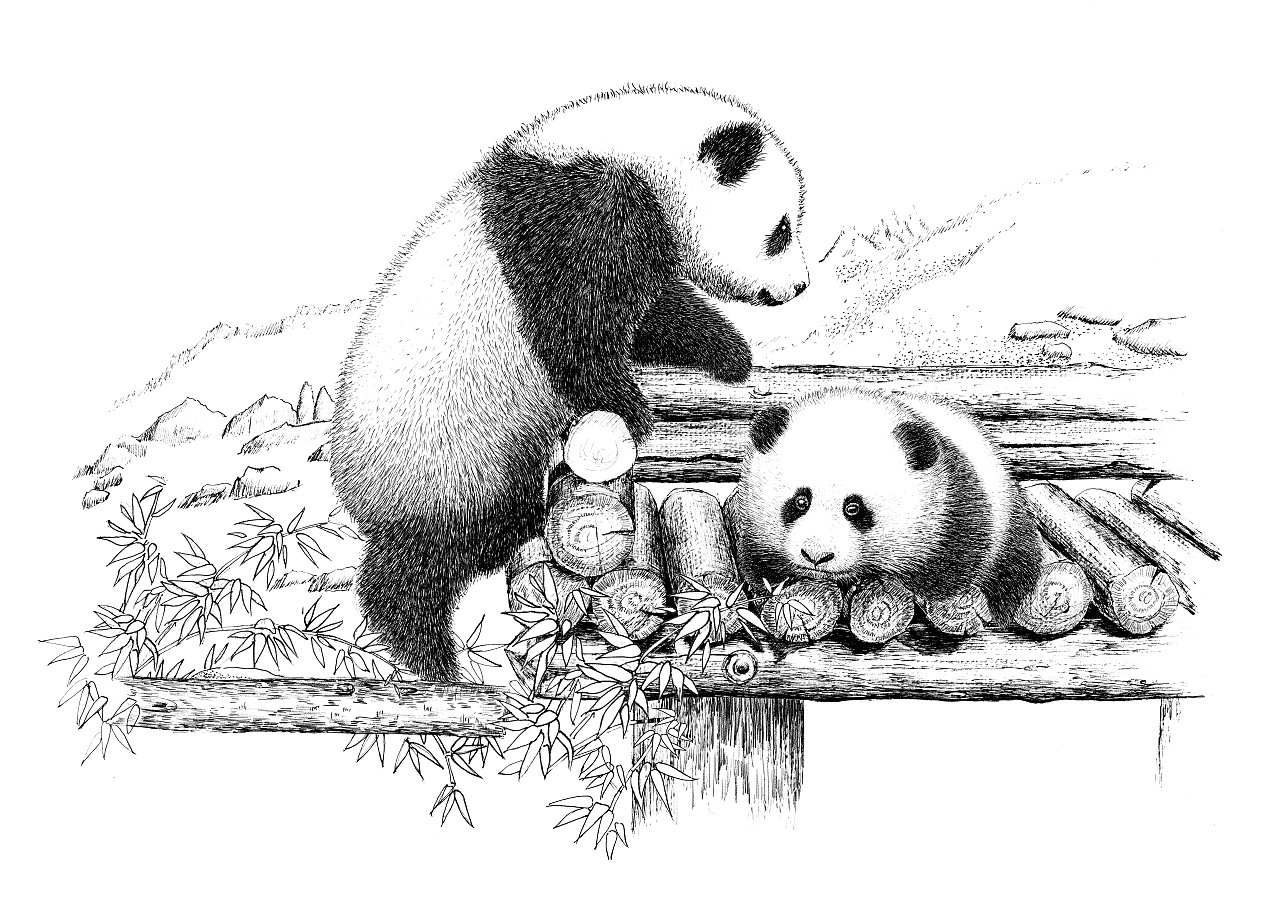 国画熊猫图图片素材-编号12442235-图行天下