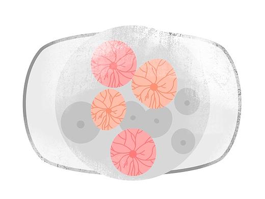 我们的星系是否是别人的“夸克”